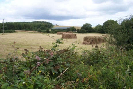 Kiladder Bales